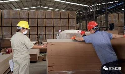 壽鄉浦北 木材產業煥發新活力