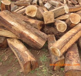 上海非洲黃花梨木材進口報關代理服務全解析 廠家、流程與價格指南